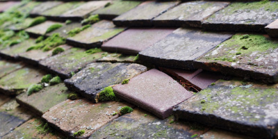 Stowe roof repair costs